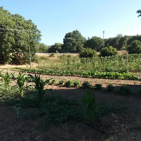 Çiftlik konaklama Da Valore *