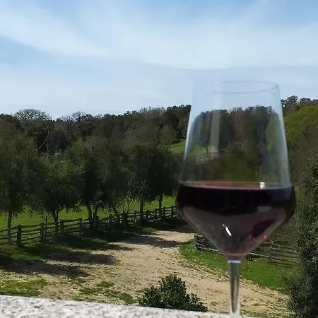 Da Valore Gospodarstwo agroturystyczne