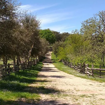Alloggio per agriturismo Da Valore Austis