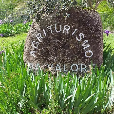 Da Valore